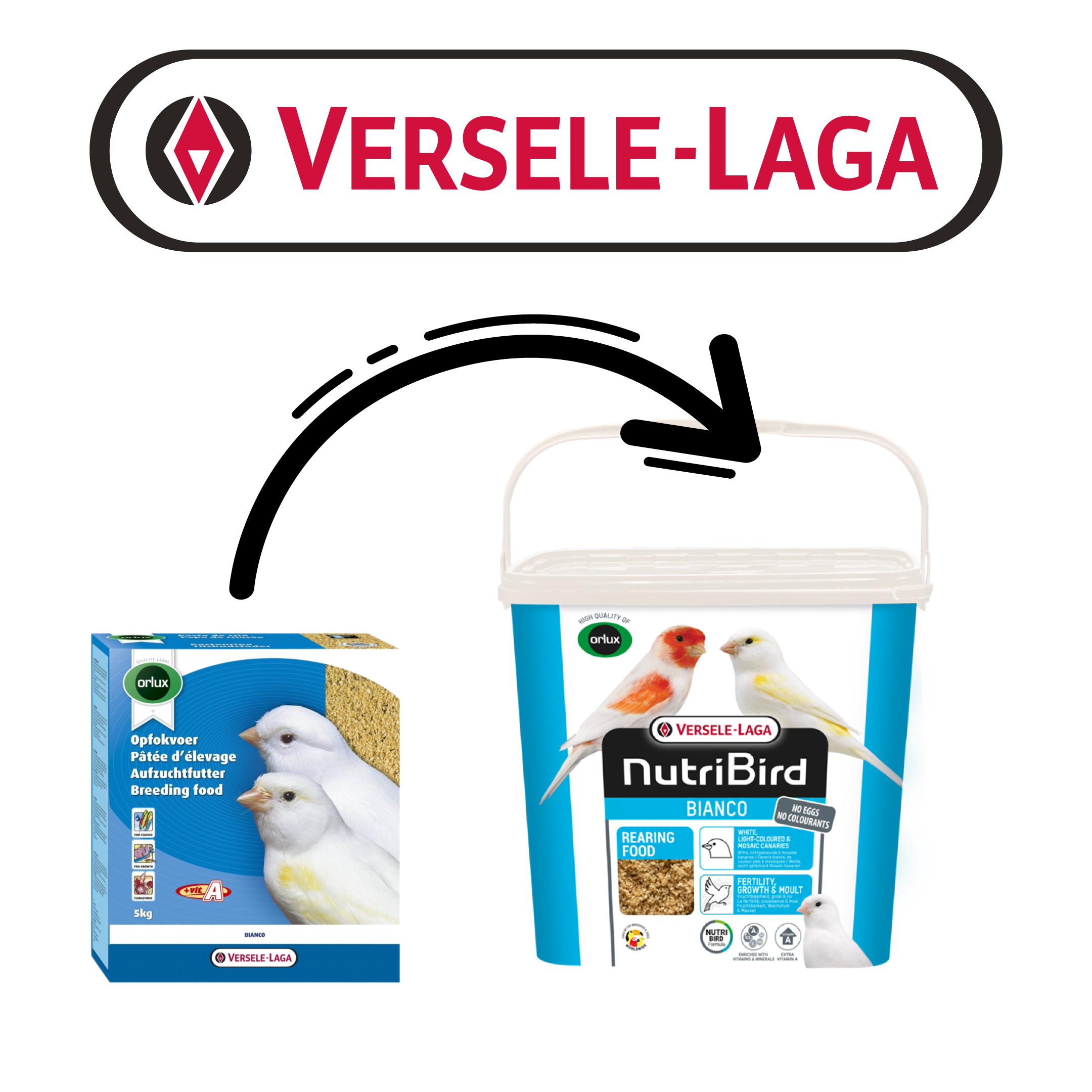 Versele Laga Nb Rearıng Food Bıanco 4kg