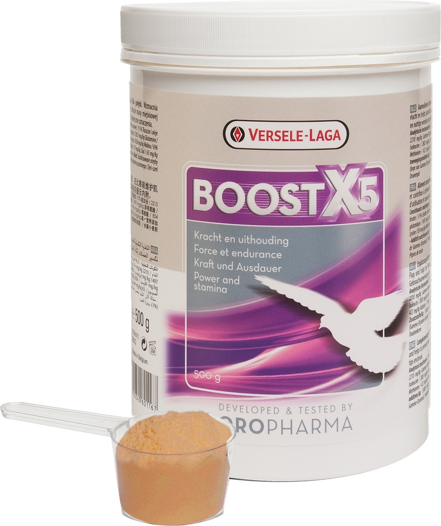 VERSELE LAGA OR.BOOST X5 (YARIŞ GÜV.GÜÇ İÇİN)500 G