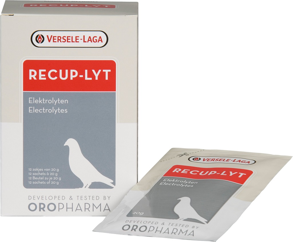 VERSELE LAGA OR.RECUP-LYT(YARIŞGÜVERCİN ELEKTROLİK DEST)