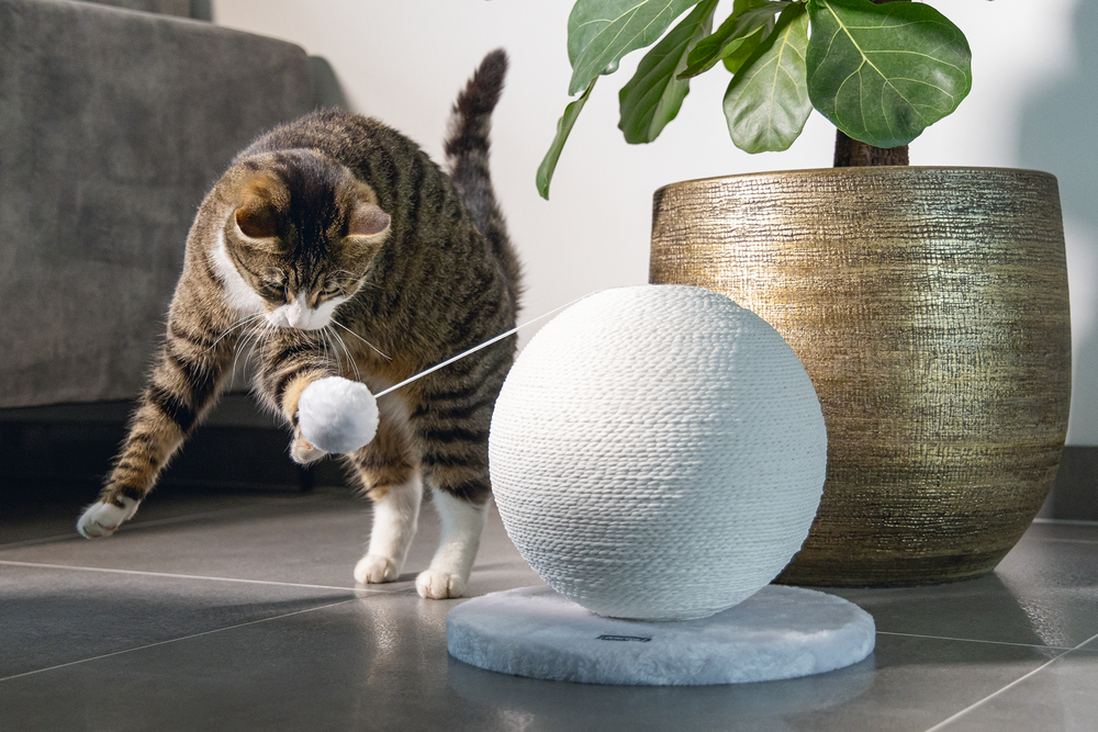 Karlıe Kedi Tırmalama Küresi Bolly Beyaz 30.5cm
