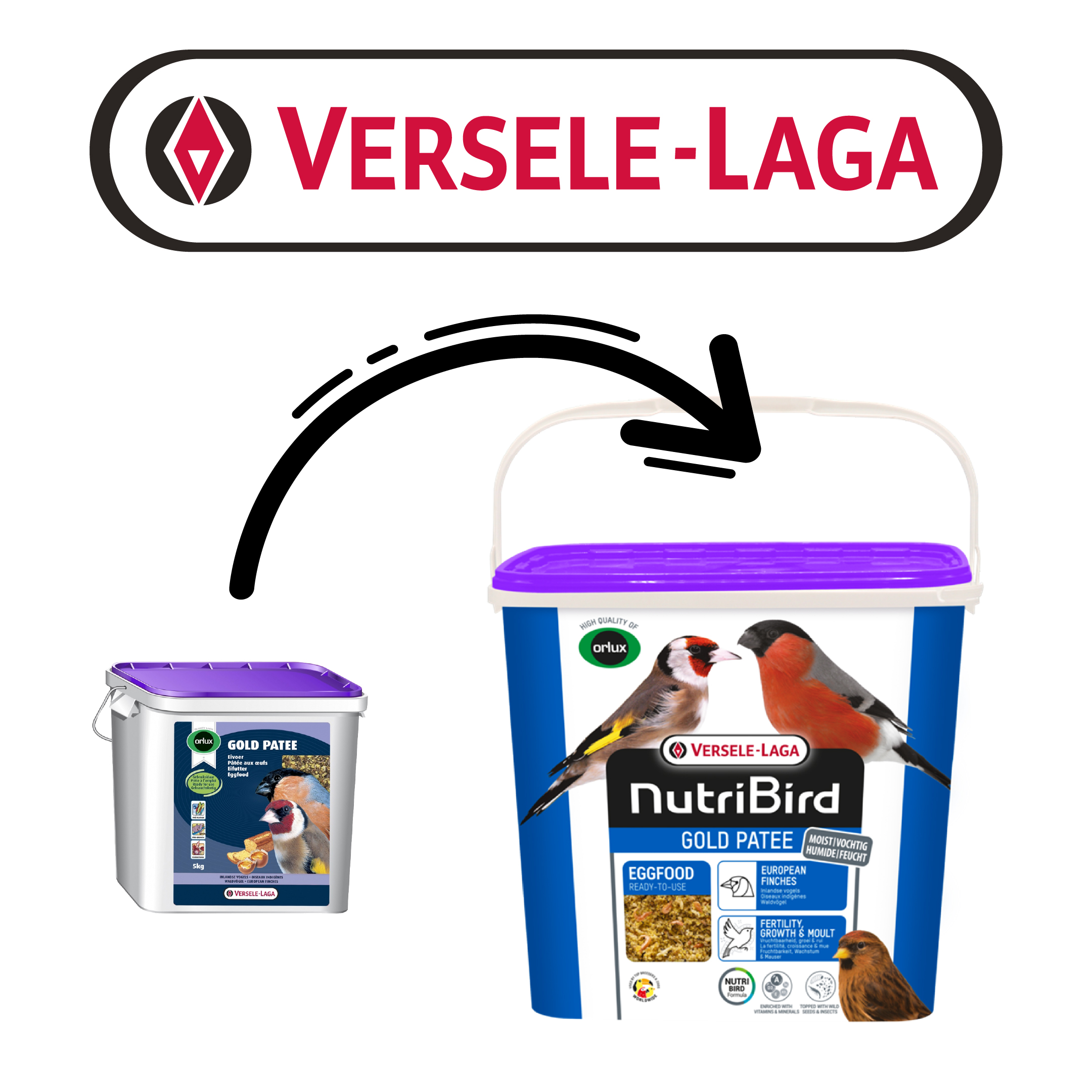 Versele Laga Nb Gold Patee European Fınches 5kg