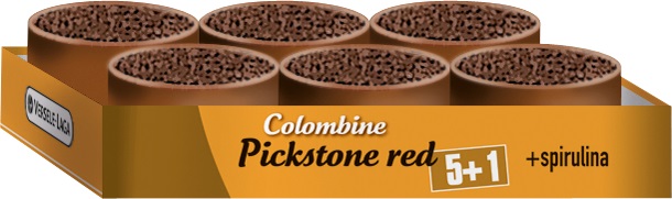 VERSELE LAGA COL.PICKSTONE RED 5 1 GÜVERCÜN MİNERAL DEST.6LI