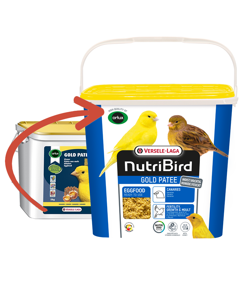 Versele Laga Nb Gold Patee Canarıes 5 Kg