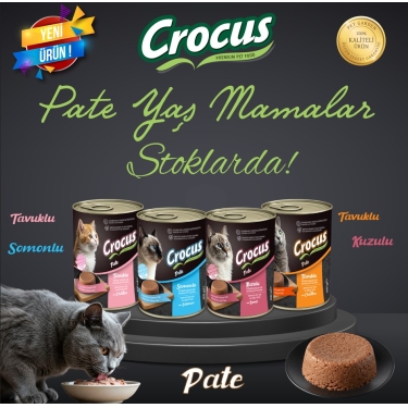 CROCUS 400 GR YAŞ MAMA SET KAMPANYASI