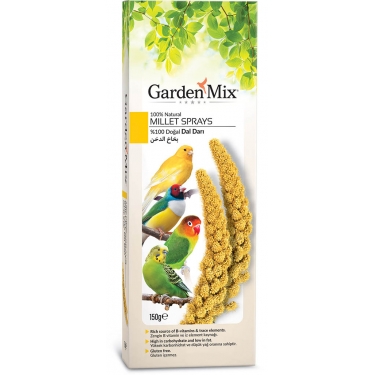 Gardenmix Platin Sarı Dal Darı