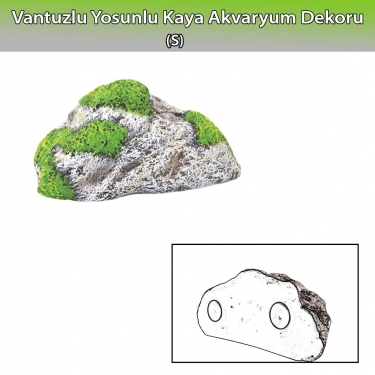 Dophin Yosunlu Kaya Akvaryum Dekoru S