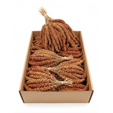 Kırmızı Dal Darı 12-20cm 15 Kg